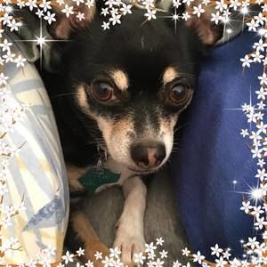 Meet your Posher, Vicki